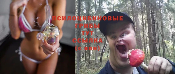 мдма Бородино