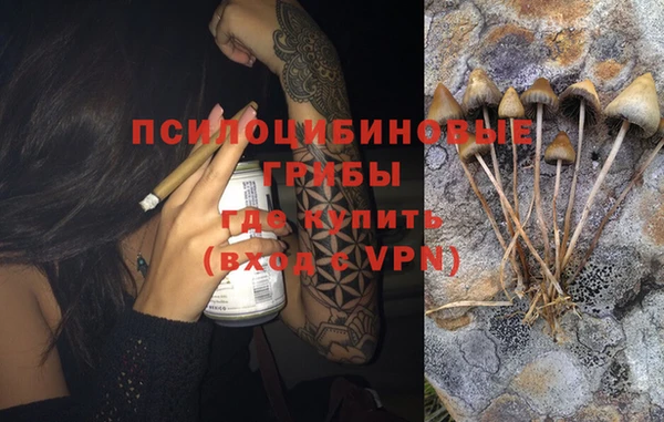 меф Белокуриха