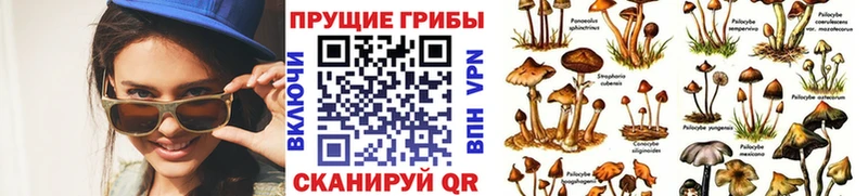 наркошоп Дальнегорск Галлюциногенные грибы мухоморы